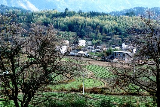 卢村旅游 卢村木雕楼旅游